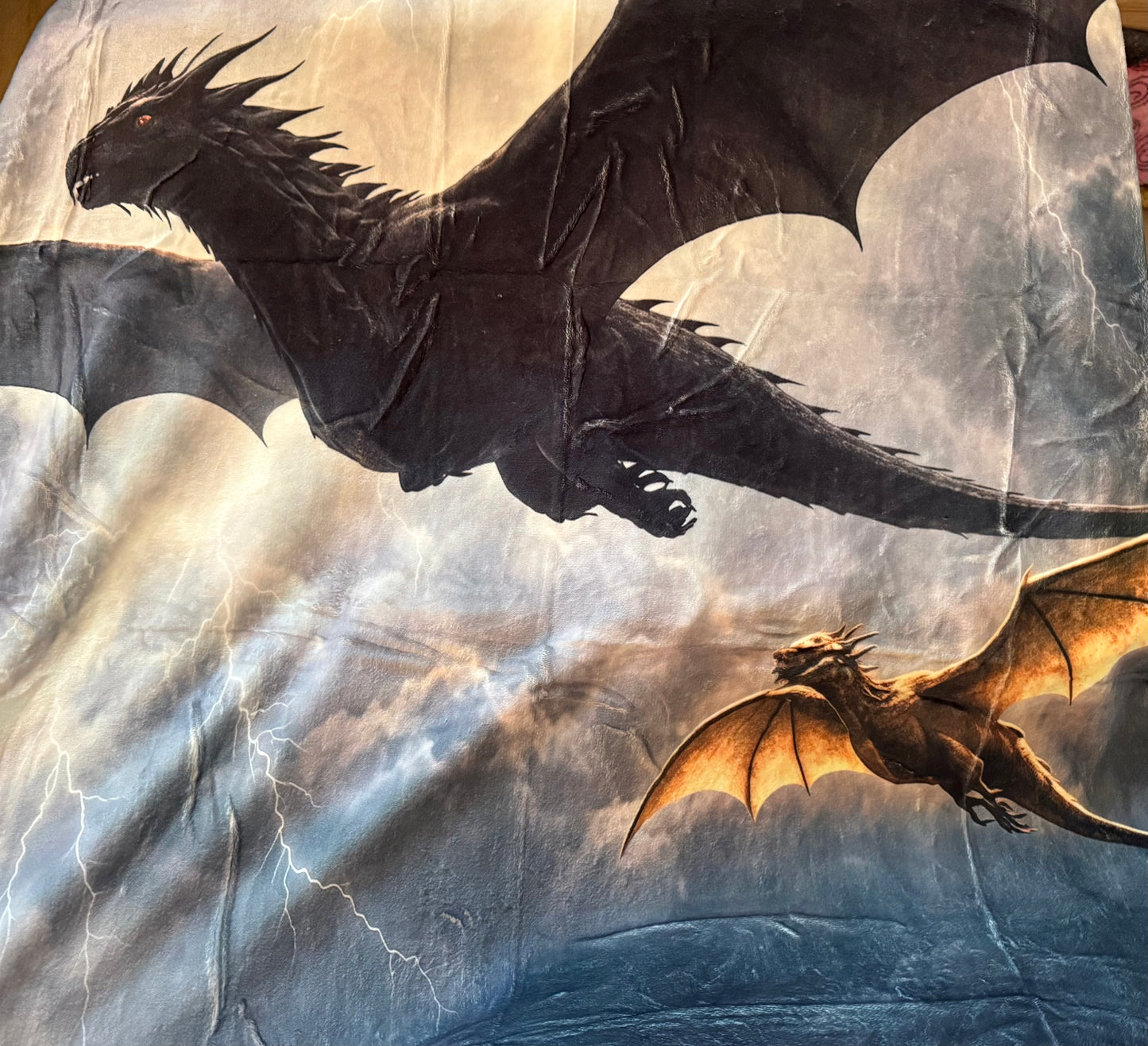 4th Wing Dragon Duo Blanket - RTS