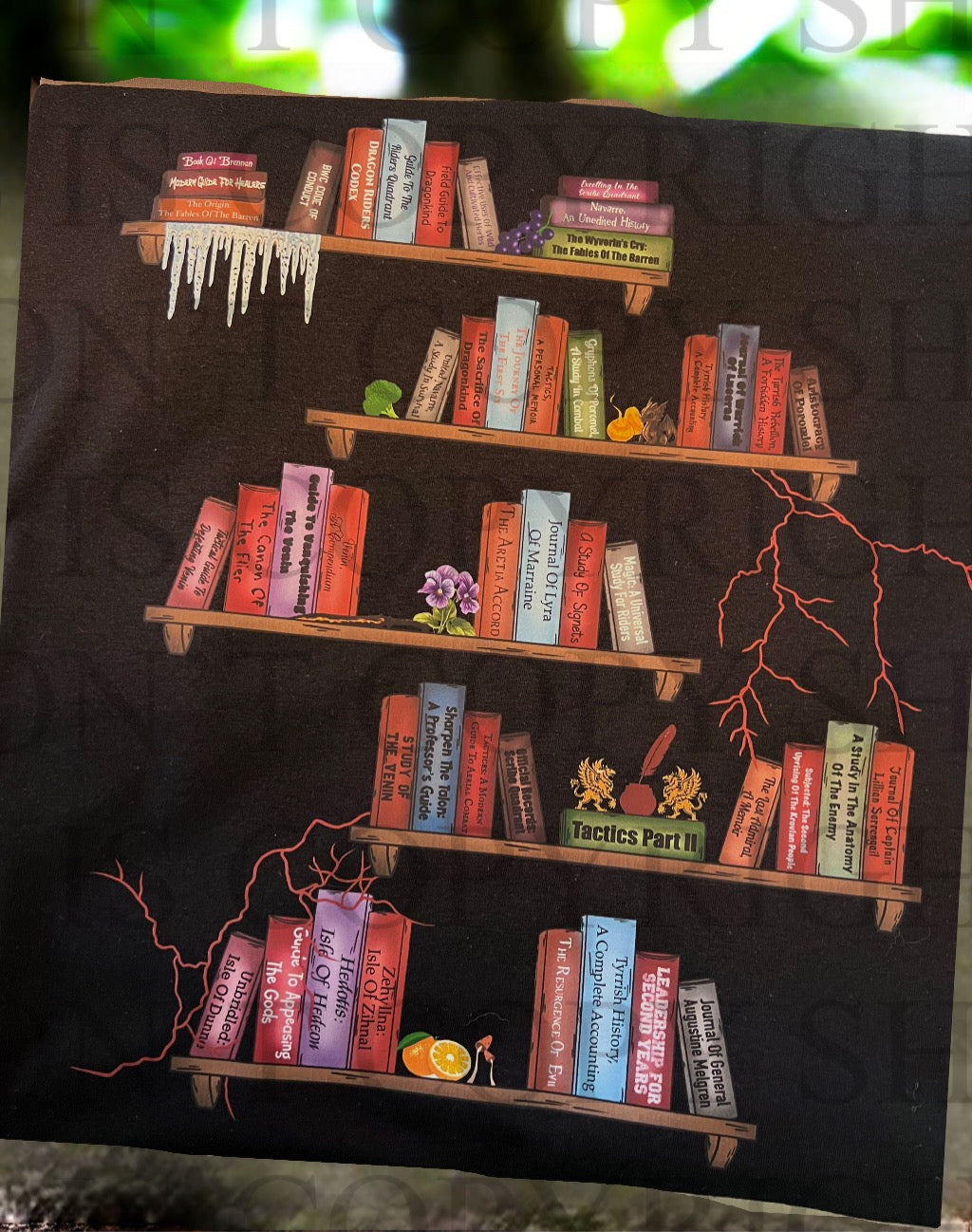 Violet’s Bookshelves Front Only